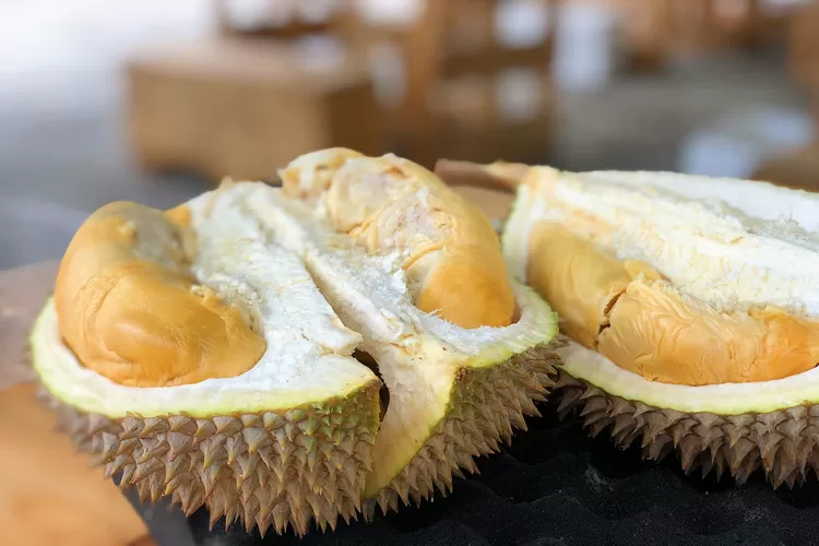 Basar Durian Fever: The Tasty Talk of Purworejo!