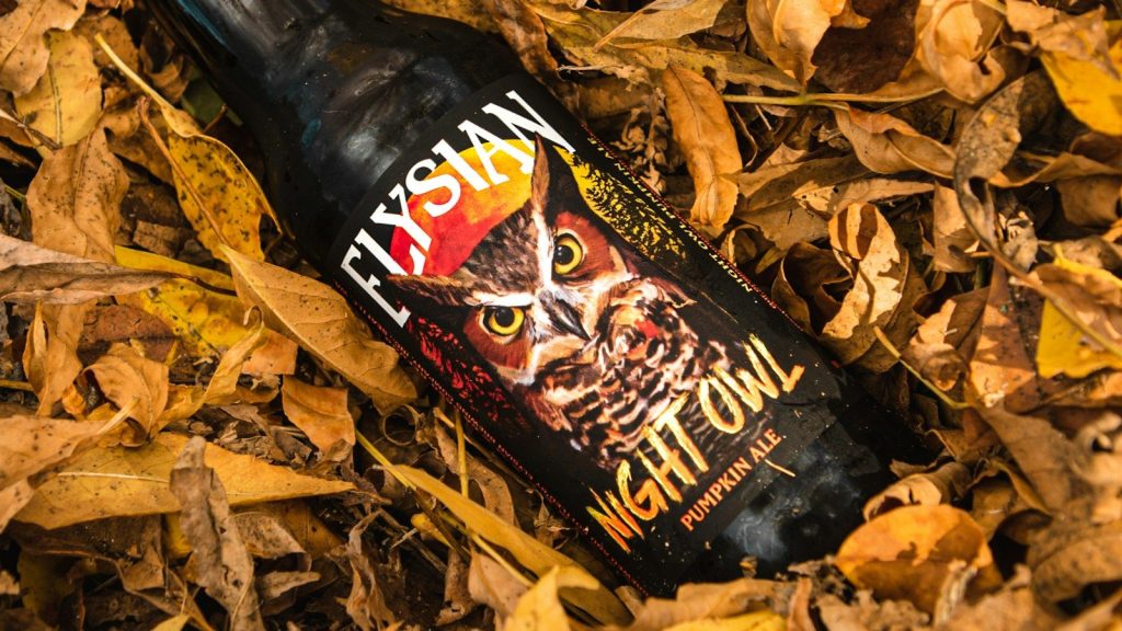 Bottle of Elysian Night Owl Pumpkin Ale among autumn leaves